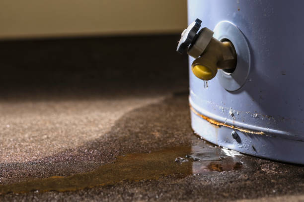 Best Commercial water damage restoration  in New Lenox, IL
