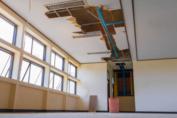 Best Flood damage cleanup  in New Lenox, IL