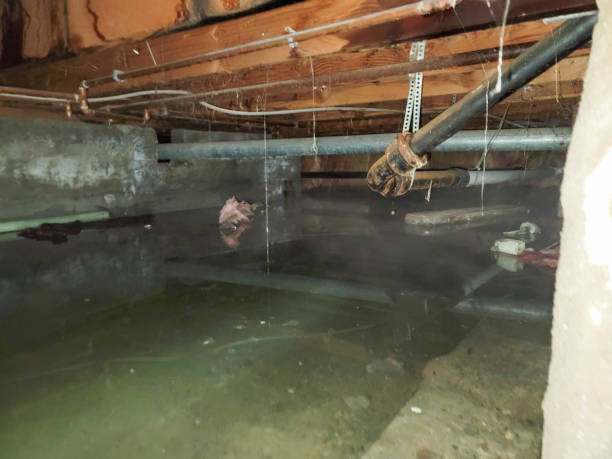 Best Residential water damage restoration  in New Lenox, IL