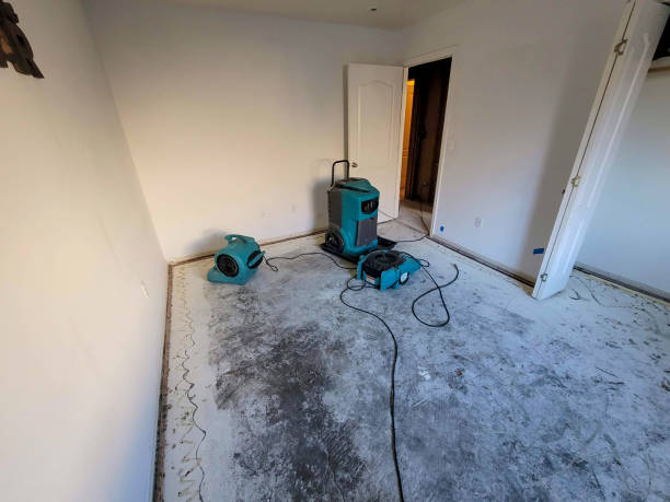 Best Carpet water damage restoration  in New Lenox, IL