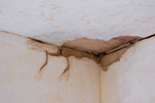 Best Residential water damage restoration  in New Lenox, IL