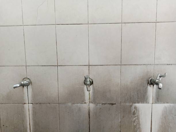 Best Fire Damage Restoration  in New Lenox, IL