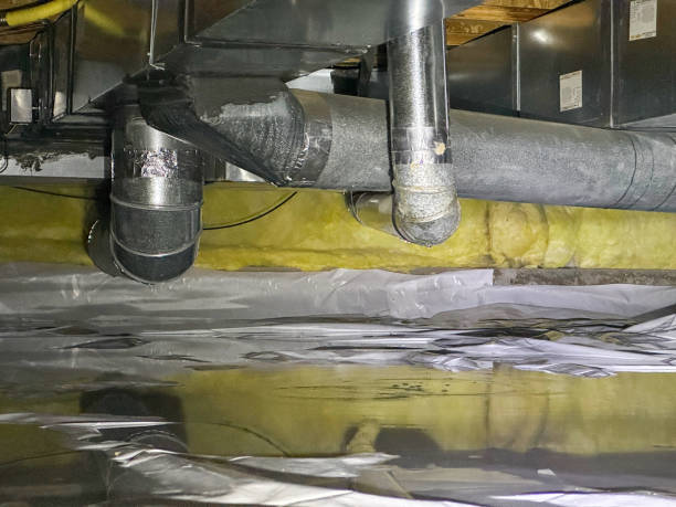 Best Water damage restoration near me  in New Lenox, IL