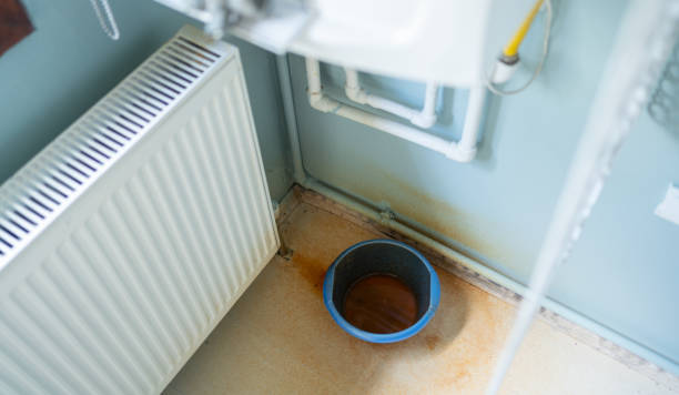 Best Flood damage cleanup  in New Lenox, IL