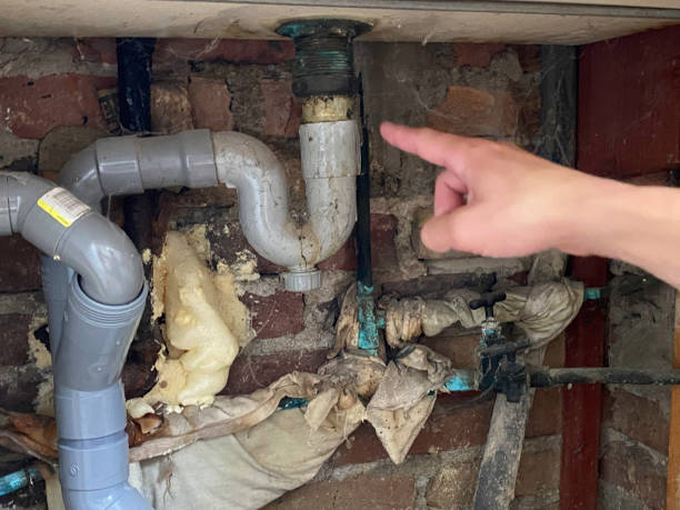 Water damage restoration mold remediation in New Lenox, IL