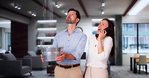 Best 24-hour water damage restoration  in New Lenox, IL