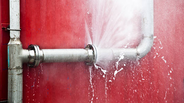 Best Basement water damage restoration  in New Lenox, IL