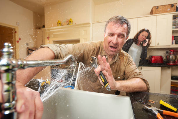 Best Water damage restoration mold remediation  in New Lenox, IL